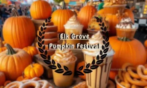 Uncover the Elk Grove Pumpkin Festival Guide for a Wonderful Adventure in 2025!