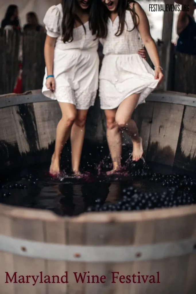 Maryland Wine Festival grape stomping competition in Frederick MD - Traditional wine festival activities and customs celebration