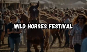 Wild Horses Festival