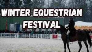 Winter Equestrian Festival