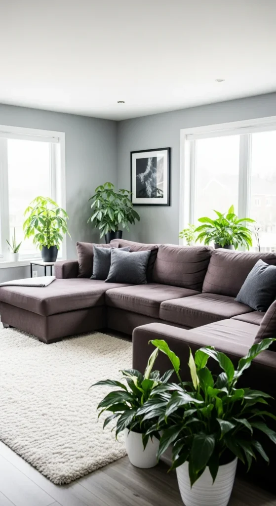 Brown couch gray walls