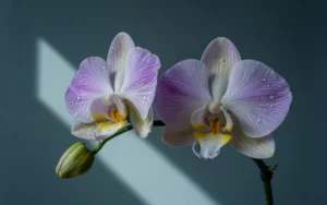 Stunning Wall Art Ideas for Living Room