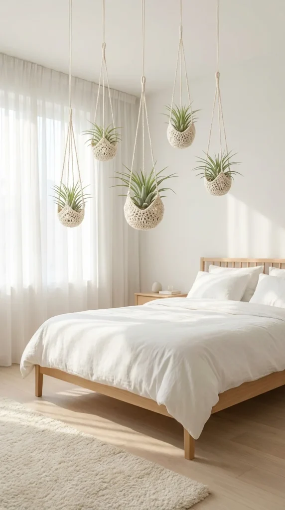 air plant crochet holder